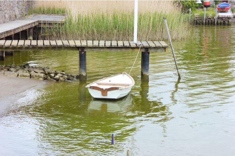 Hausboot Fjord Aries Mit Dachterrasse In Schleswig Hotel Buitenkant foto